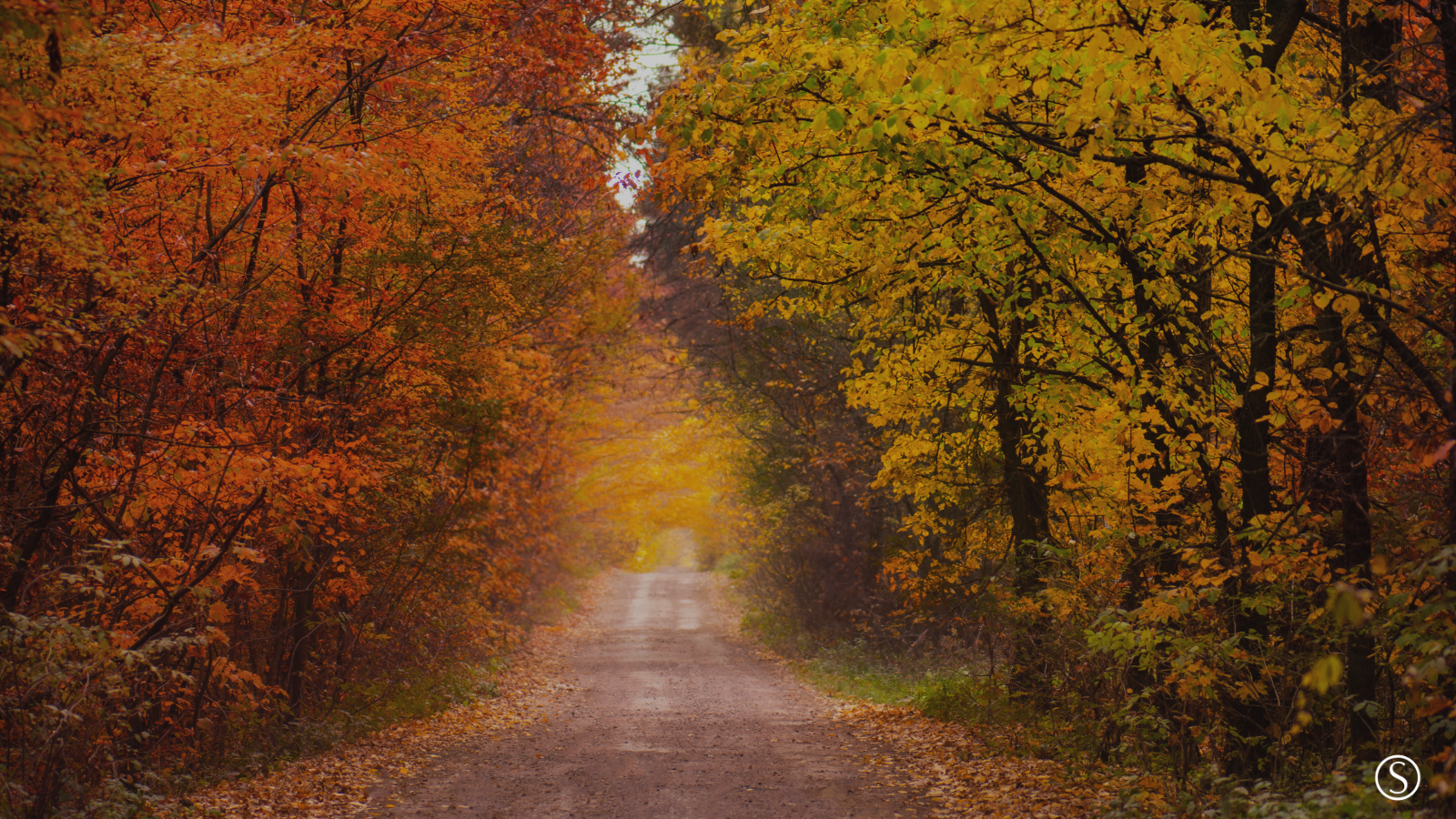 Fall 2025 Quarterly Newsletter