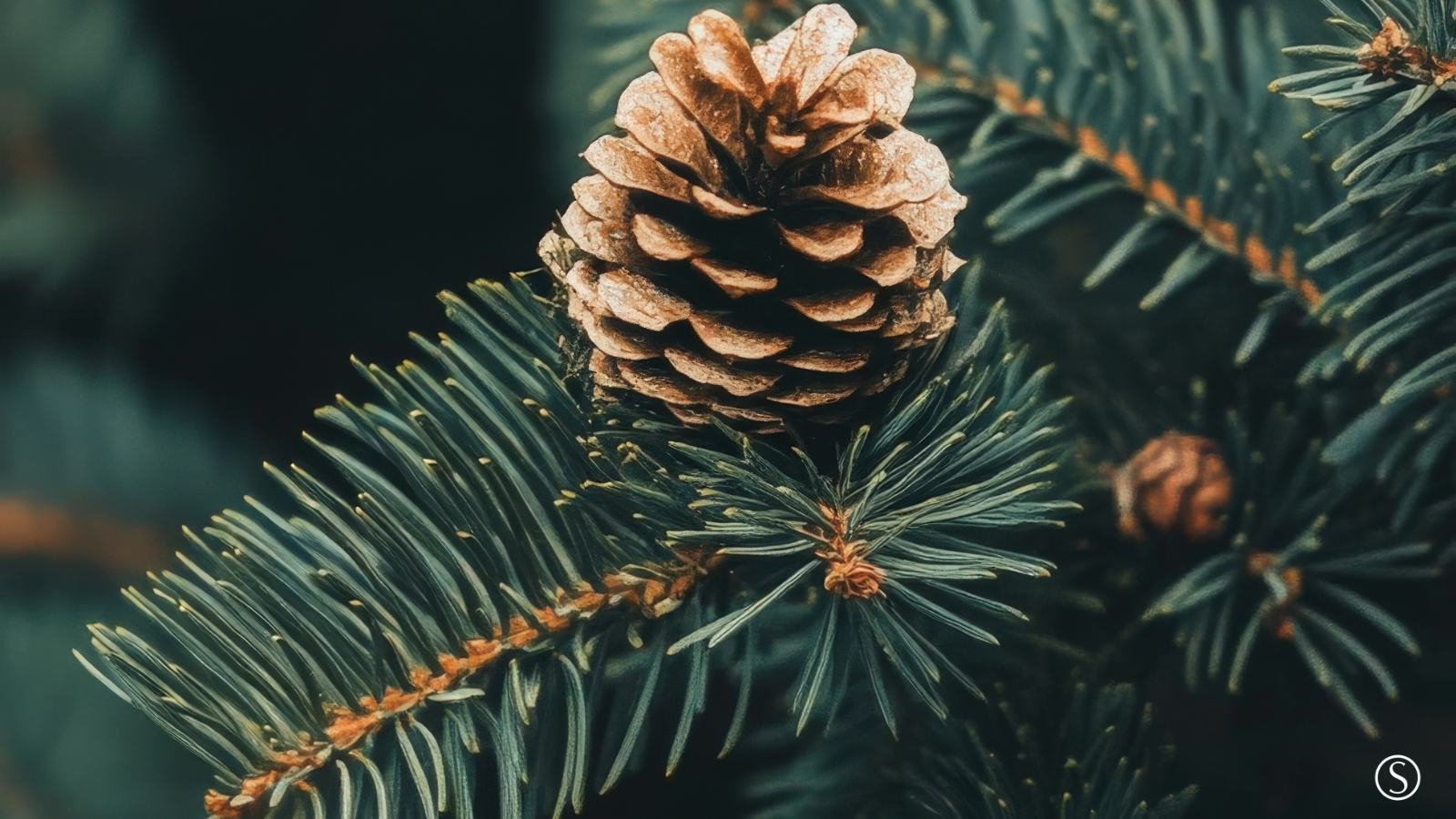 Winter 2026 Quarterly Newsletter