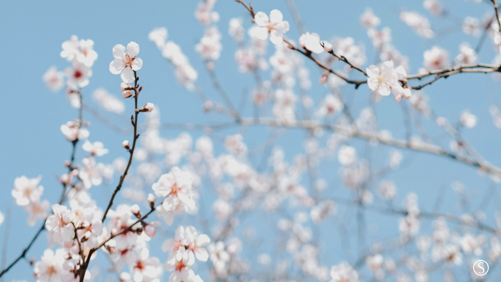 Spring 2026 Quarterly Newsletter